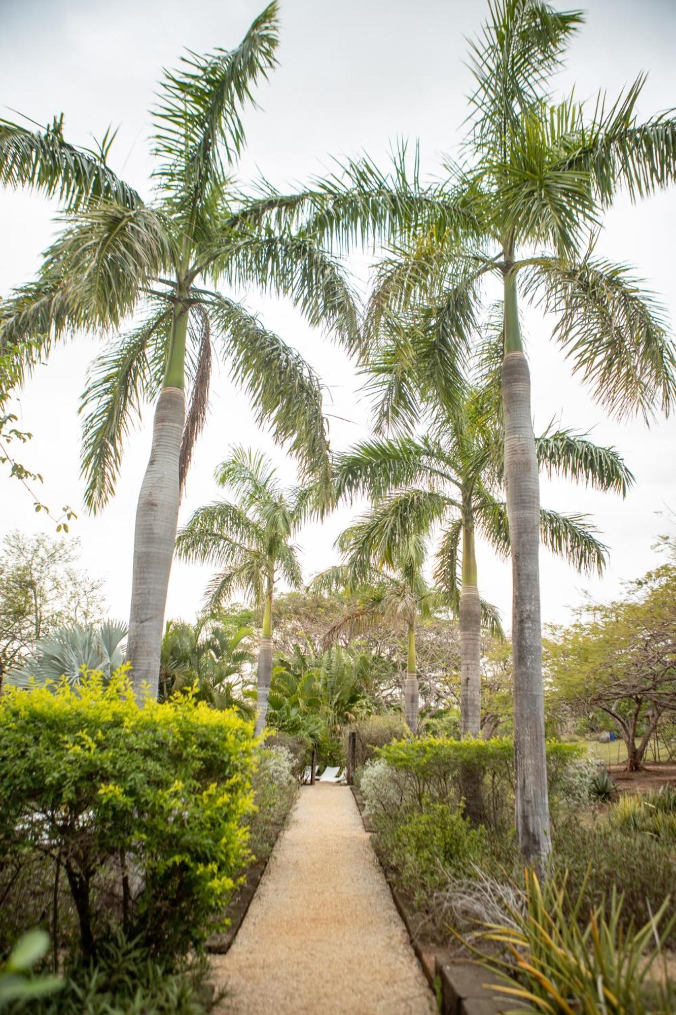 Playa Negra Latica Lodge מראה חיצוני תמונה